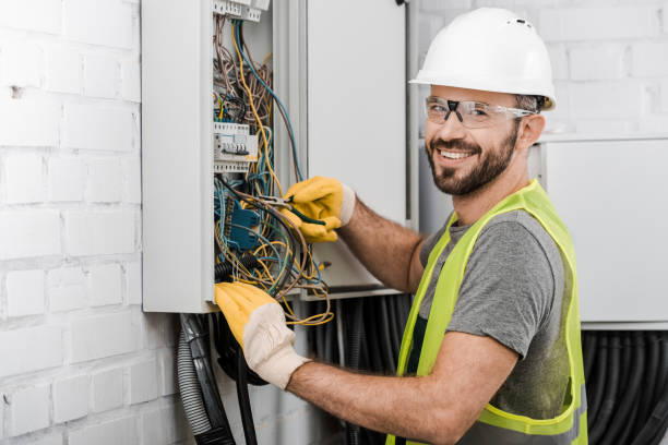 Best Electrical System Inspection  in Paisley, FL